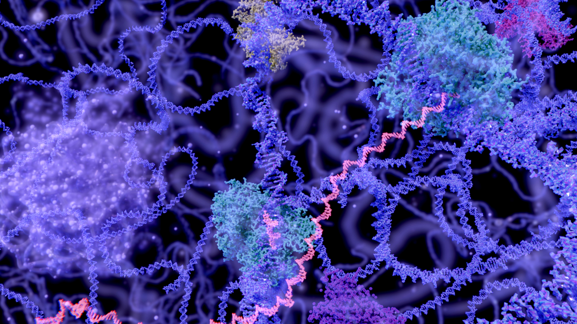 Enzymes Classification Project